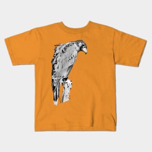 Drawing conversion of Harris Hawk Kids T-Shirt